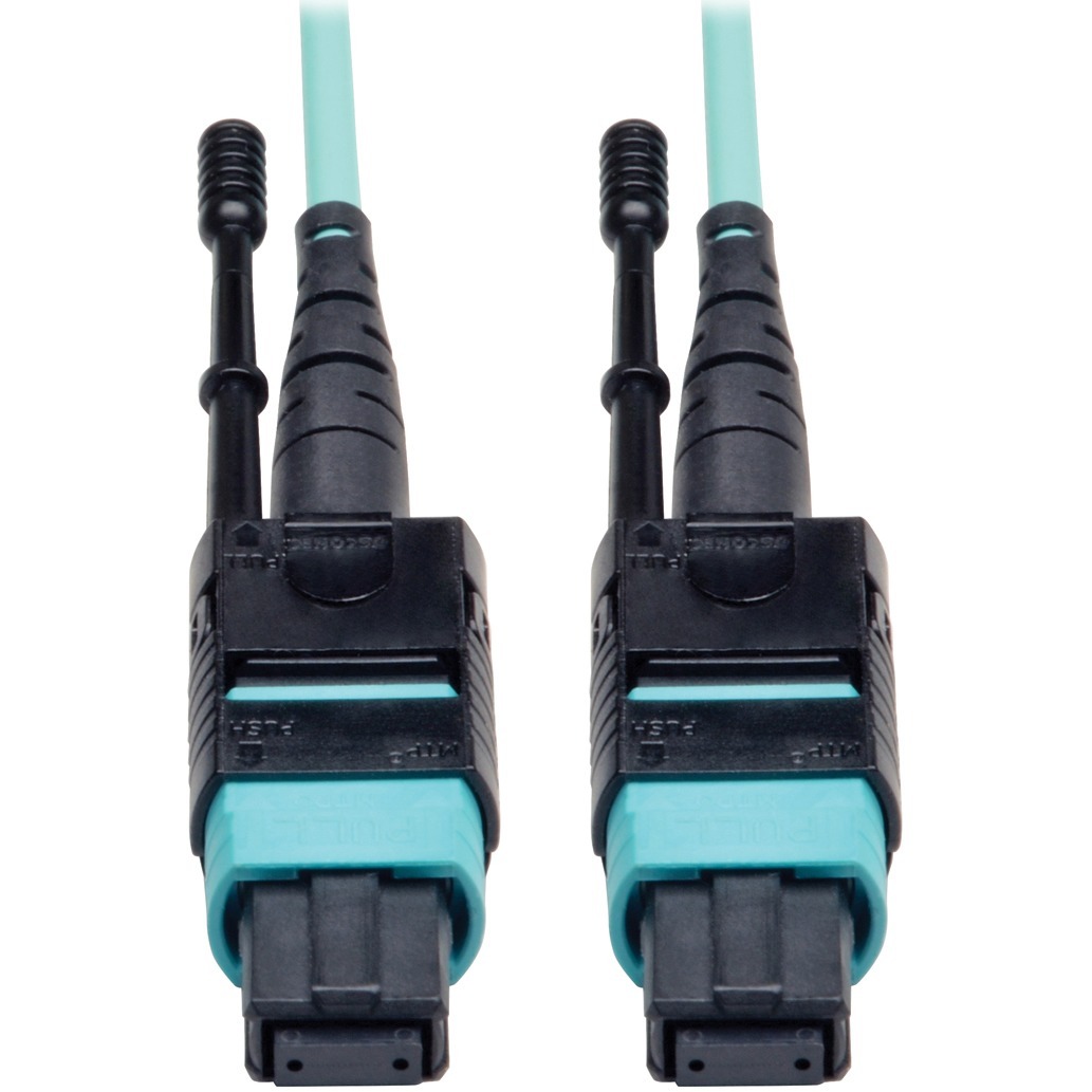 Tripp-Lite N844-02M-12-P Products