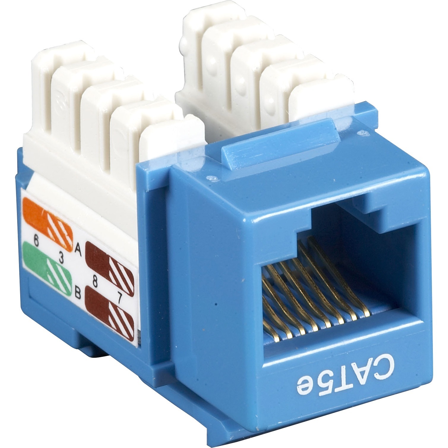 Black Box CAT5EJ-BL Products