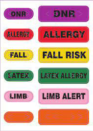 Zebra PS-BLANK-PUR Wristbands