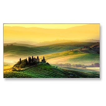 NEC X555UNS Digital Signage Display