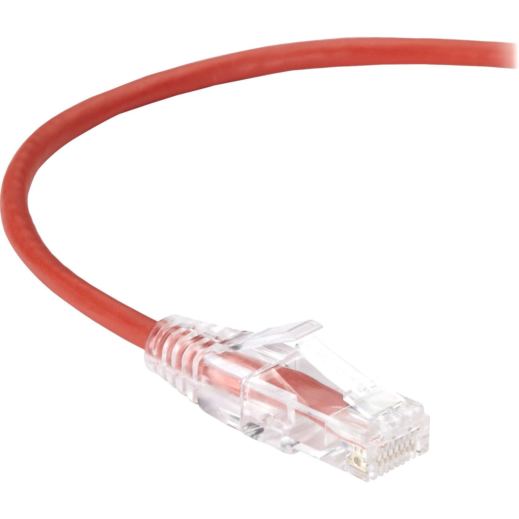 Black Box C6APC28-RD-02 Accessory
