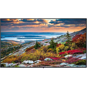 Panasonic TH-55CQE1W Monitor