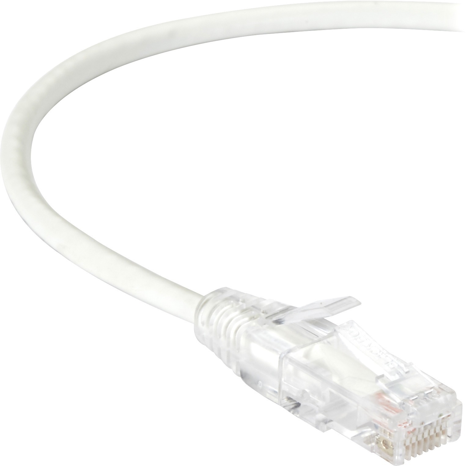 Black Box C6APC28-WH-01 Accessory