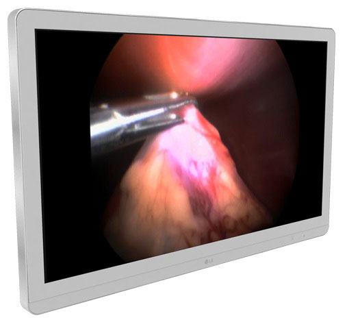 LG 27HJ713S-W Digital Signage Display