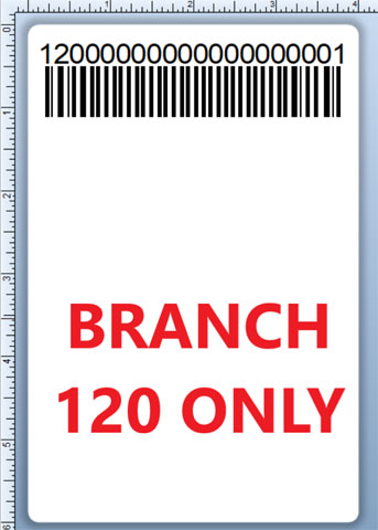 BCI DEXTER-4X6-LPN-120 Barcode Label