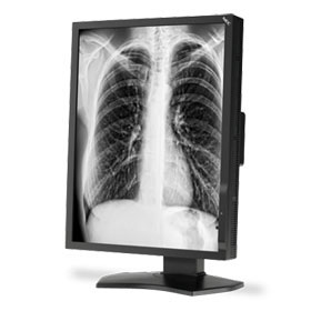 NEC MD211G3 Products