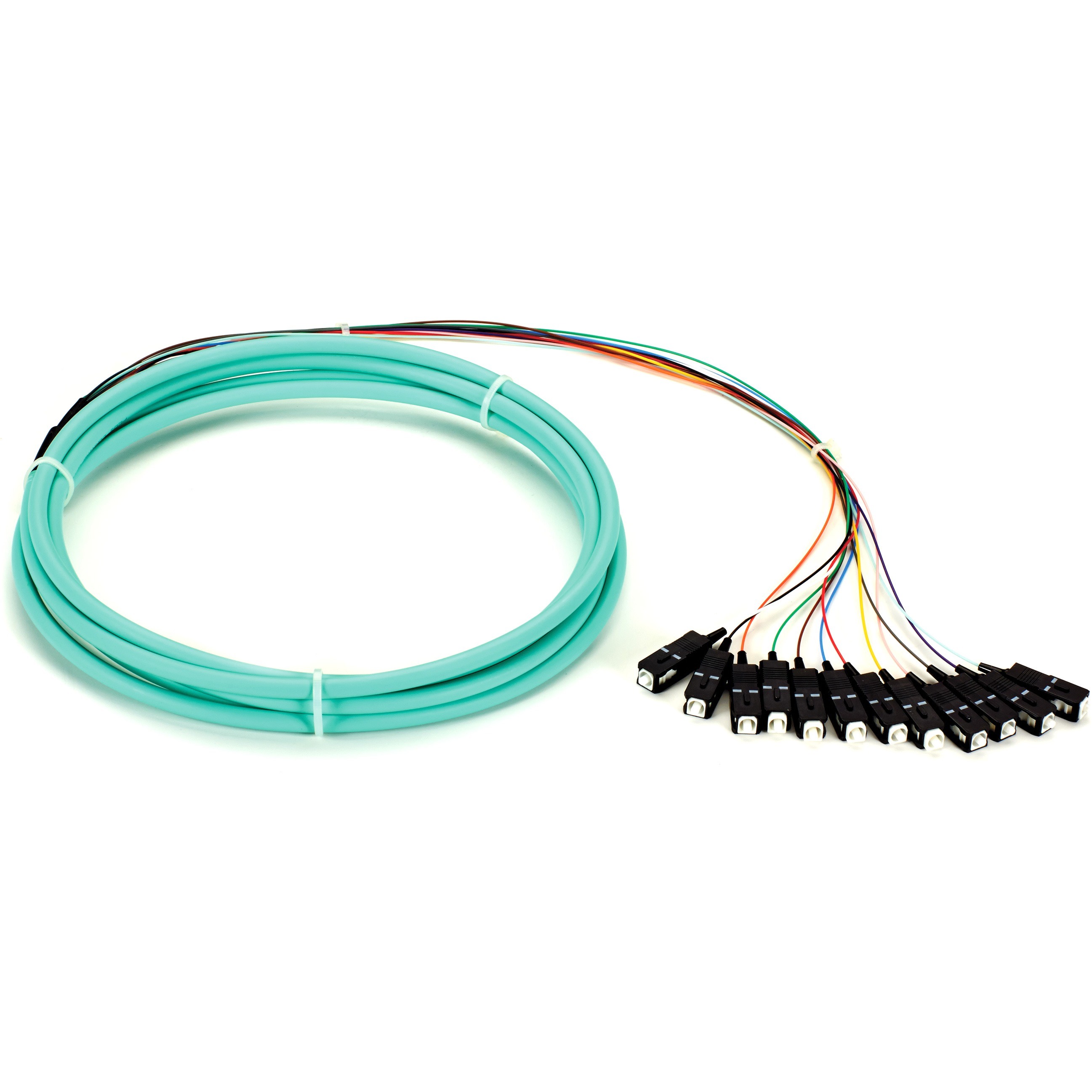 Black Box FOPT50M3-SC-12AQ-3 Accessory