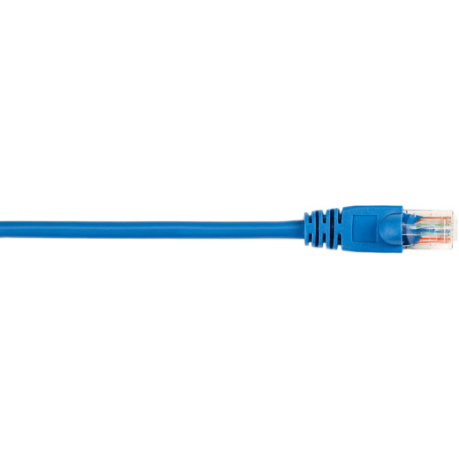 Black Box CAT5EPC-005-BL-10PAK Products
