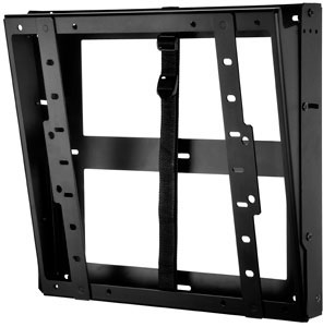 Peerless-AV DST660 Products