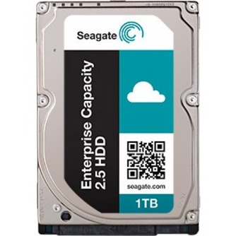 Seagate ST1000NX0313 Drive