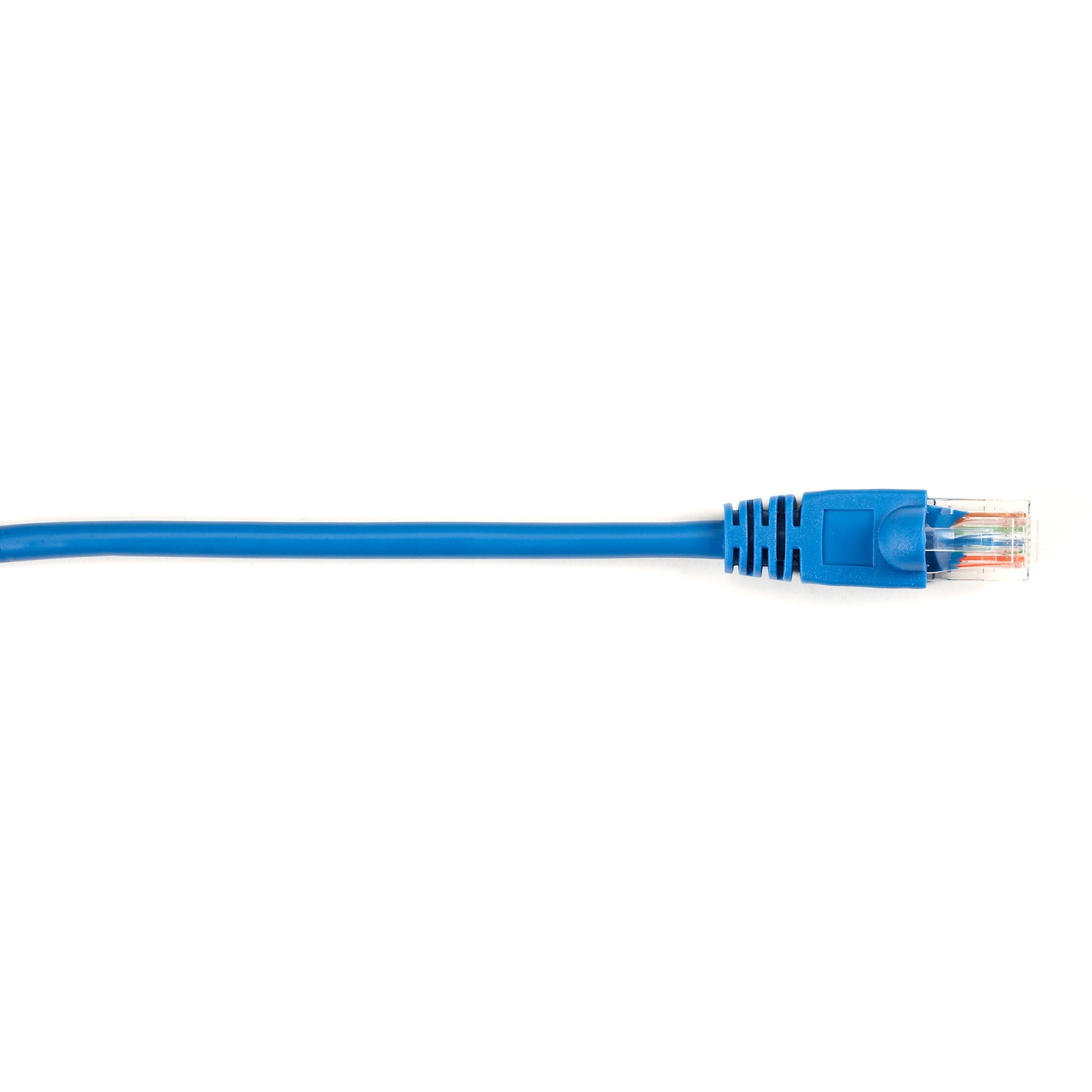 Black Box CAT5EPC-020-BL-25PAK Products