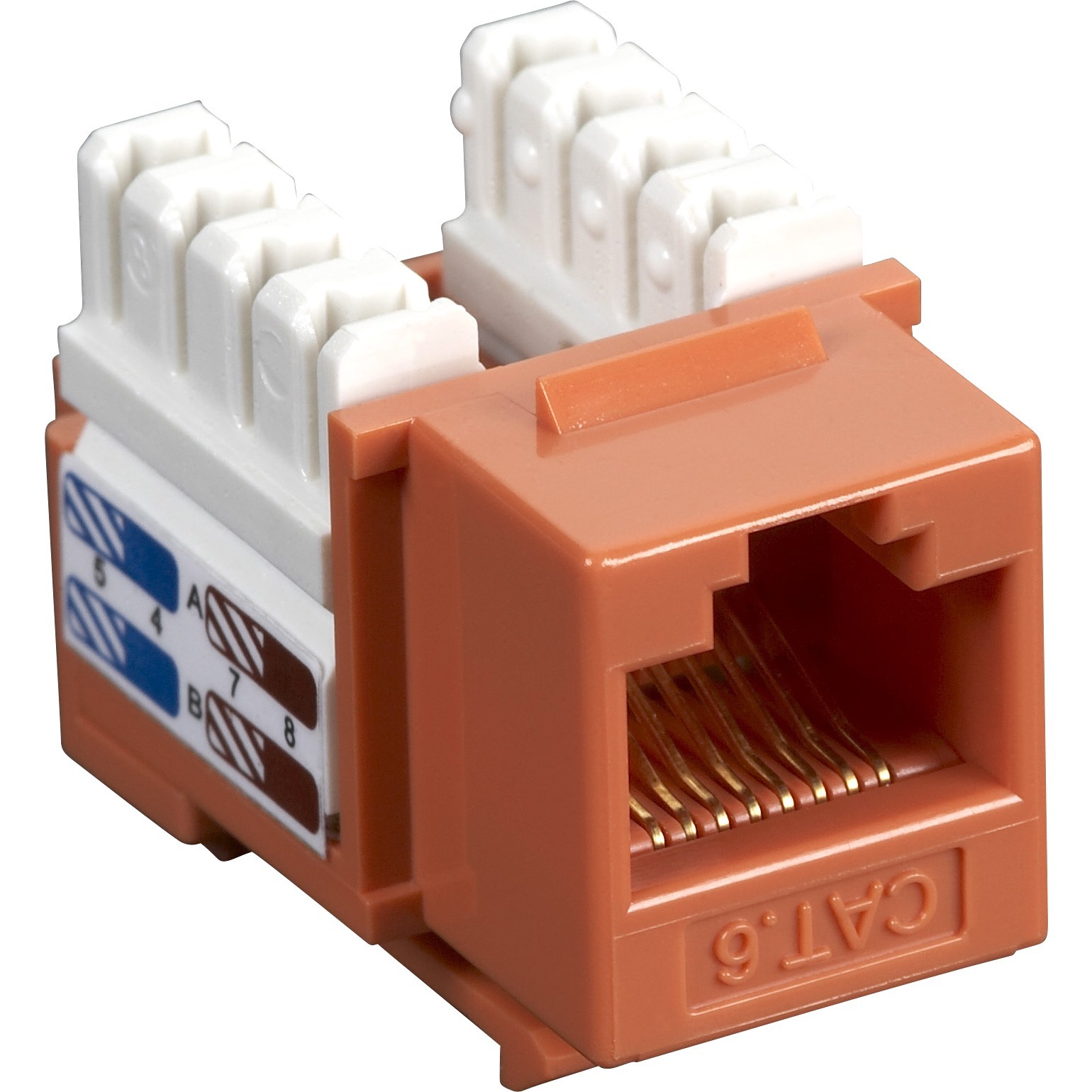 Black Box CAT6J-OR-10PAK Products