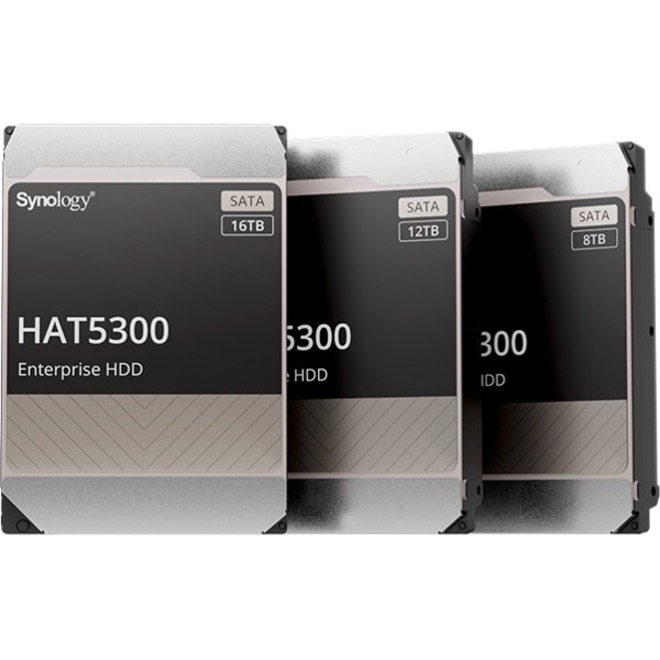 Synology HAT5300-12T Drive