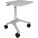 Ergotron ZAL25CG/CG4 Mobile Cart