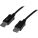 StarTech DISPL10MA Cables, Connectors, and Adapters