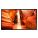 Samsung OM55N-S Digital Signage Display