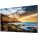 Samsung QE65T Digital Signage Display