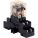 Altronix RDC24 Accessory