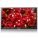 Samsung LH70CSBPLBC/ZA Digital Signage Display