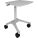Ergotron ZAH25CG/CG4 Mobile Cart
