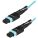 StarTech MPO12PL3M Cables, Connectors, and Adapters