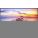 NEC E425 Digital Signage Display