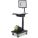 Newcastle Systems PWC2-FC Accessory