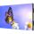 NEC UN552V Digital Signage Display
