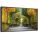 NEC X554HB Products