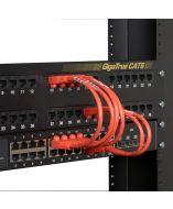 Black Box EVNSL641-06IN Accessory