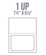 BCI IL18-P Labels
