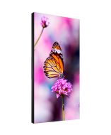 NEC UN552VS-TMX4P Digital Signage Display