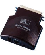 Zebra P1032272 Accessory