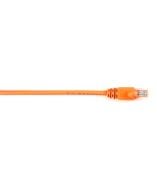 Black Box CAT6PC-003-OR Products