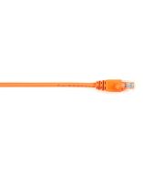 Black Box CAT5EPC-015-OR Products