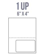 BCI IL15-P Labels