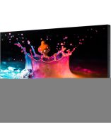 Samsung UD55E-A Digital Signage Display