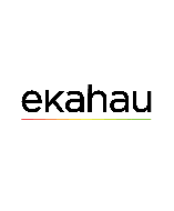 Ekahau ESK-2 Network Testing