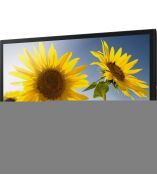 Samsung T24D310NH Digital Signage Display