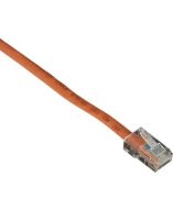 Black Box CAT5EPC-B-002-OR Accessory