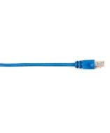 Black Box CAT6PC-003-BL Products