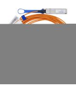 Mellanox MC220731V-005 Products