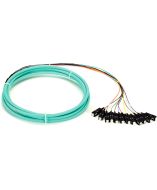 Black Box FOPT50M3-SC-12AQ-3 Accessory