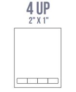 BCI IL11 Labels