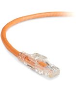 Black Box C6PC70-OR-100 Accessory