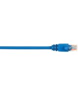Black Box CAT5EPC-005-BL-10PAK Products