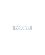 SMARTRAC 3002029 RFID Inlay