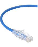 Black Box C6APC28-BL-02 Accessory
