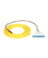 Black Box FOPT50S1-LC-12YL-3 Accessory