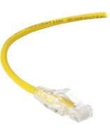 Black Box C6APC28-YL-04 Accessory